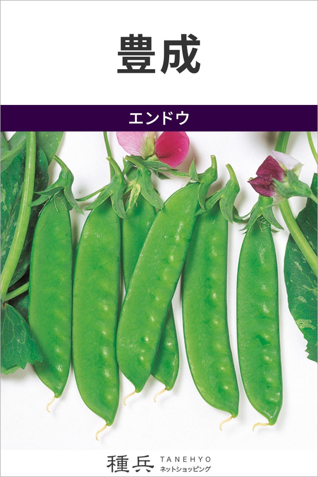 サヤエンドウ 種 『豊成』  サカタのタネ