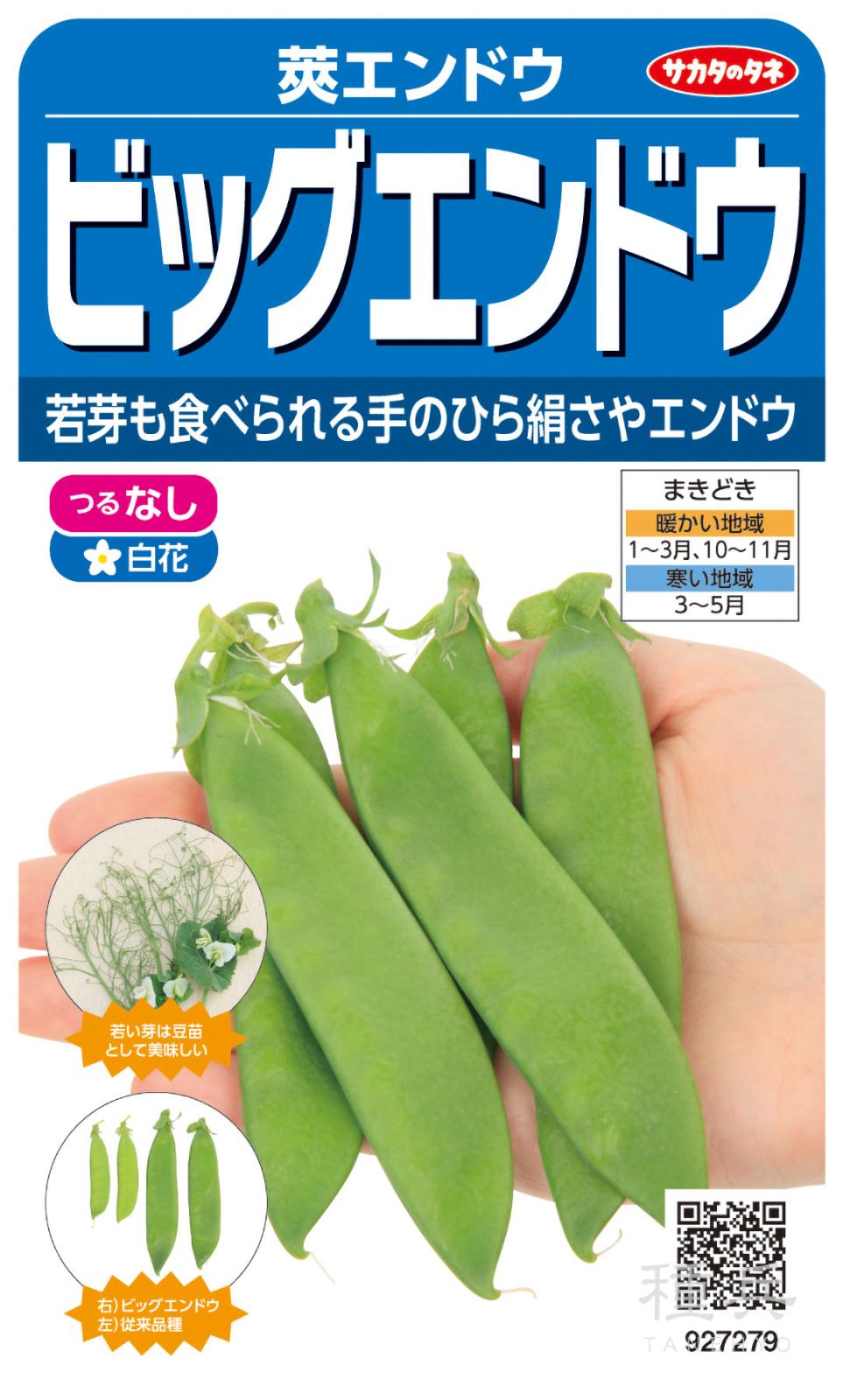 サヤエンドウ 種 『ビックエンドウ』  サカタのタネ