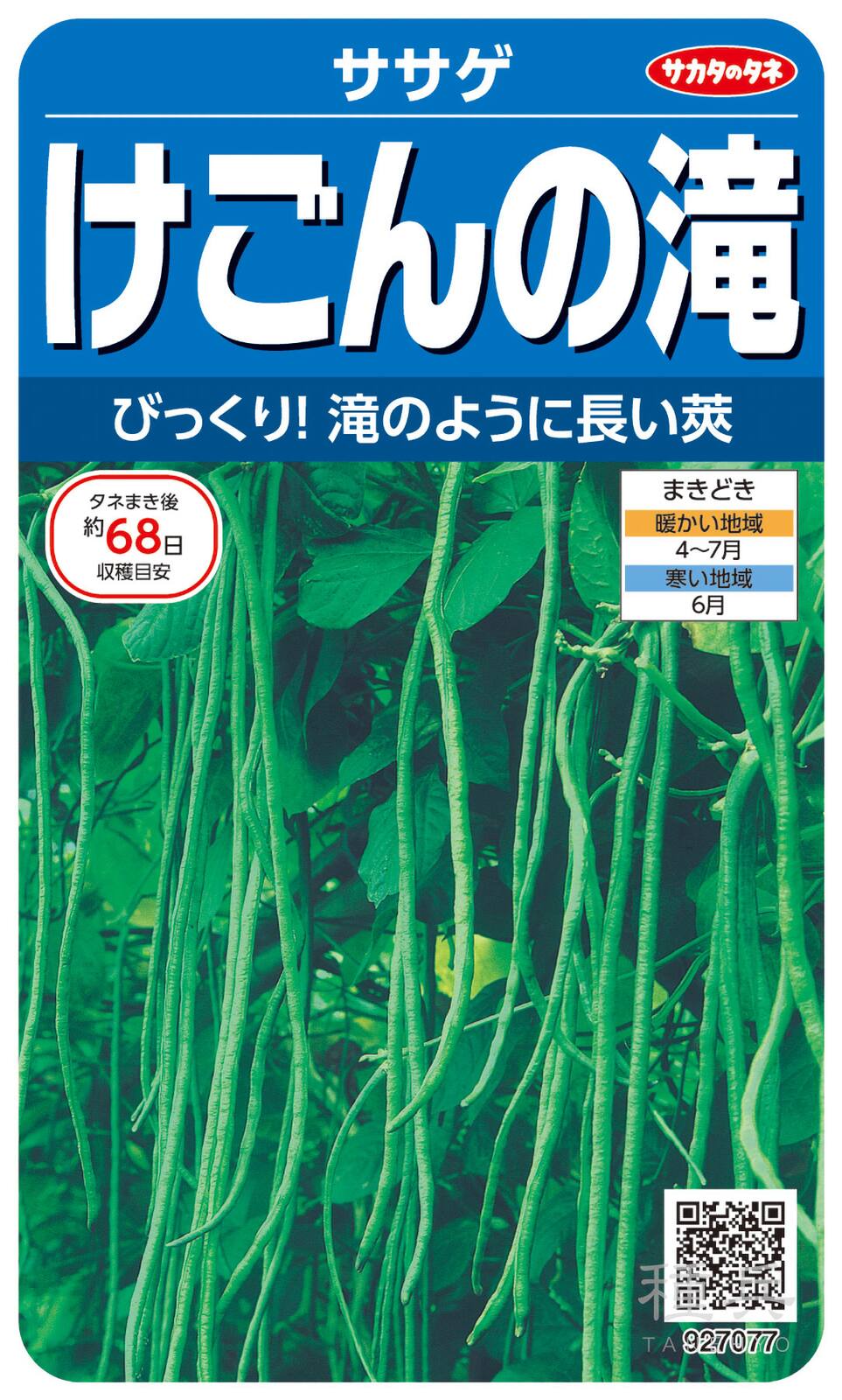 ササゲ 種 『けごんの滝』  サカタのタネ
