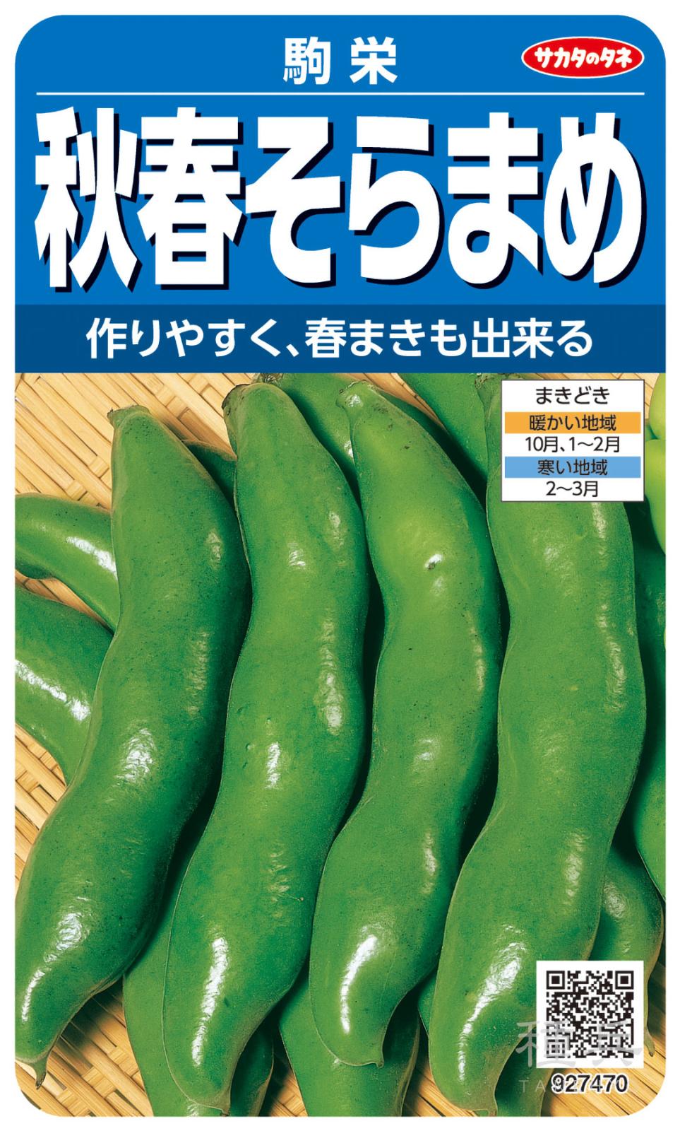 ソラマメ 種 『駒栄』  サカタのタネ