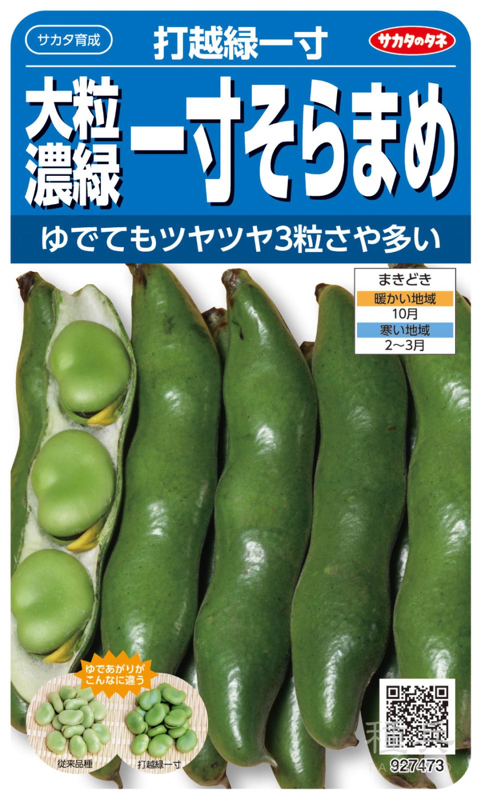 ソラマメ 種 『打越緑一寸』  サカタのタネ