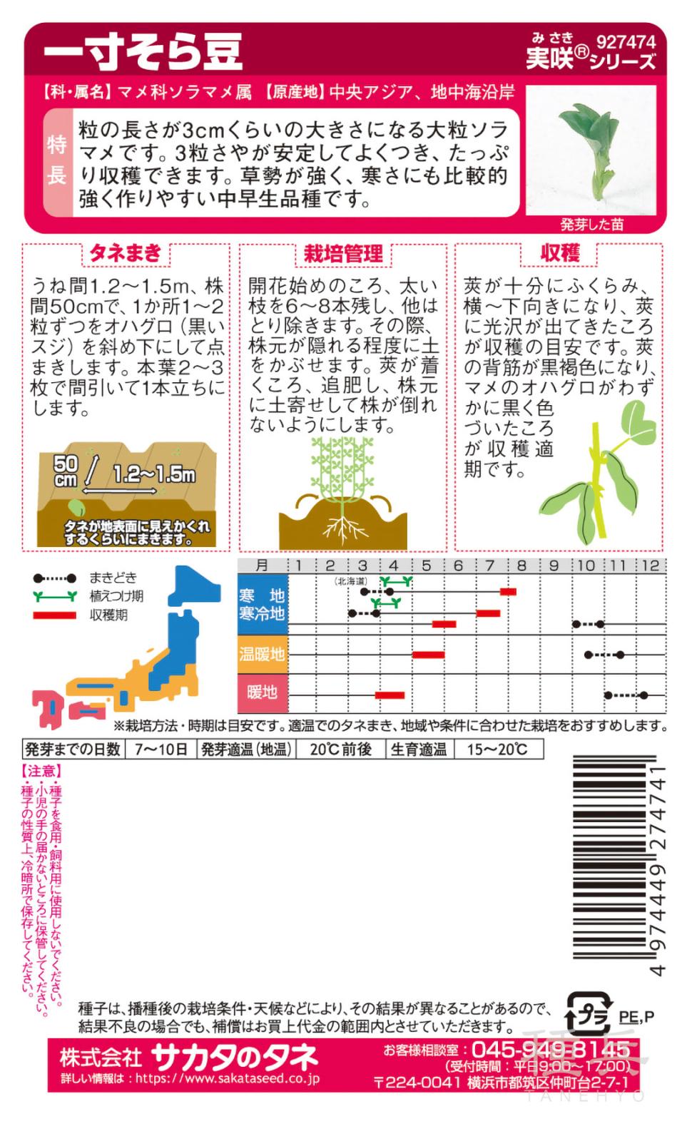 ソラマメ 種 『一寸そら豆』 サカタのタネ | たね,果菜の種,ソラマメ