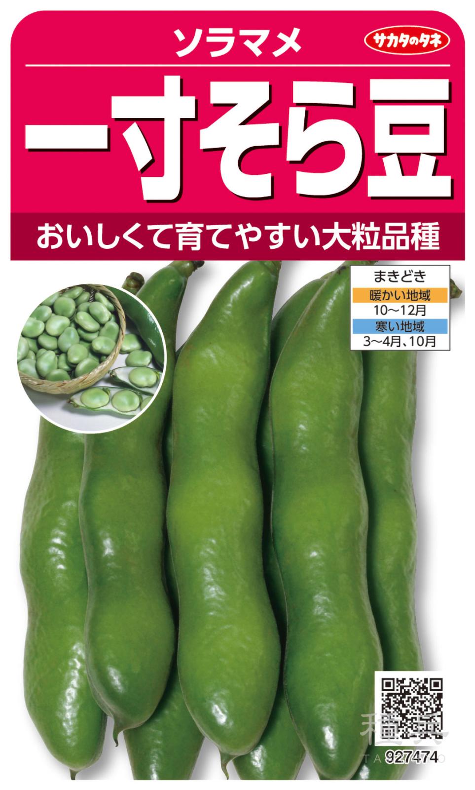 ソラマメ 種 『一寸そら豆』  サカタのタネ
