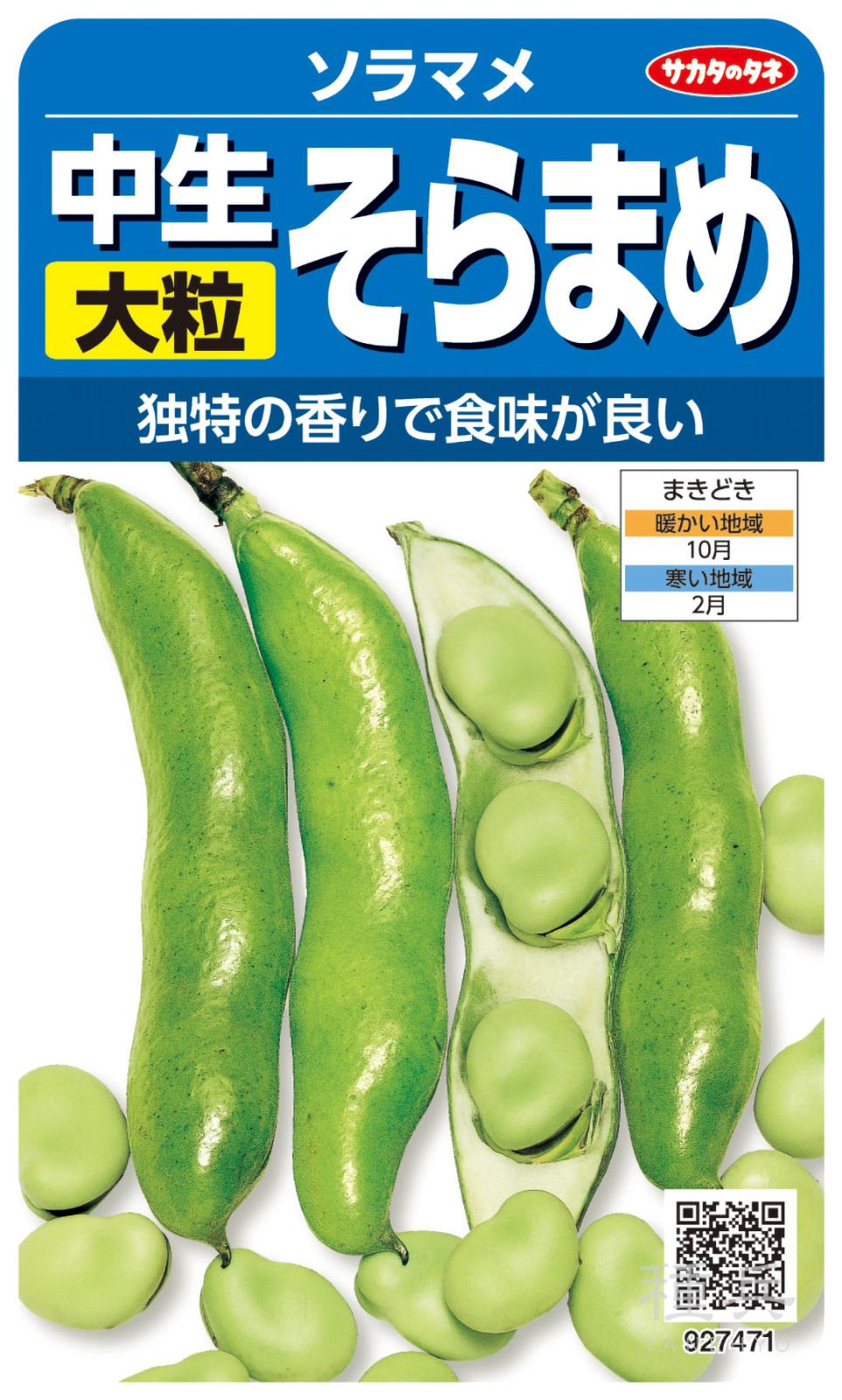 ソラマメ 種 『中生大粒そらまめ』  サカタのタネ