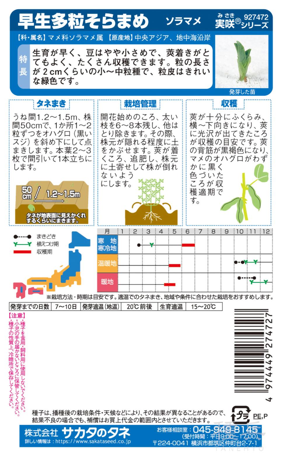 ソラマメ 種 『早生多粒そらまめ』 サカタのタネ | たね,果菜の種