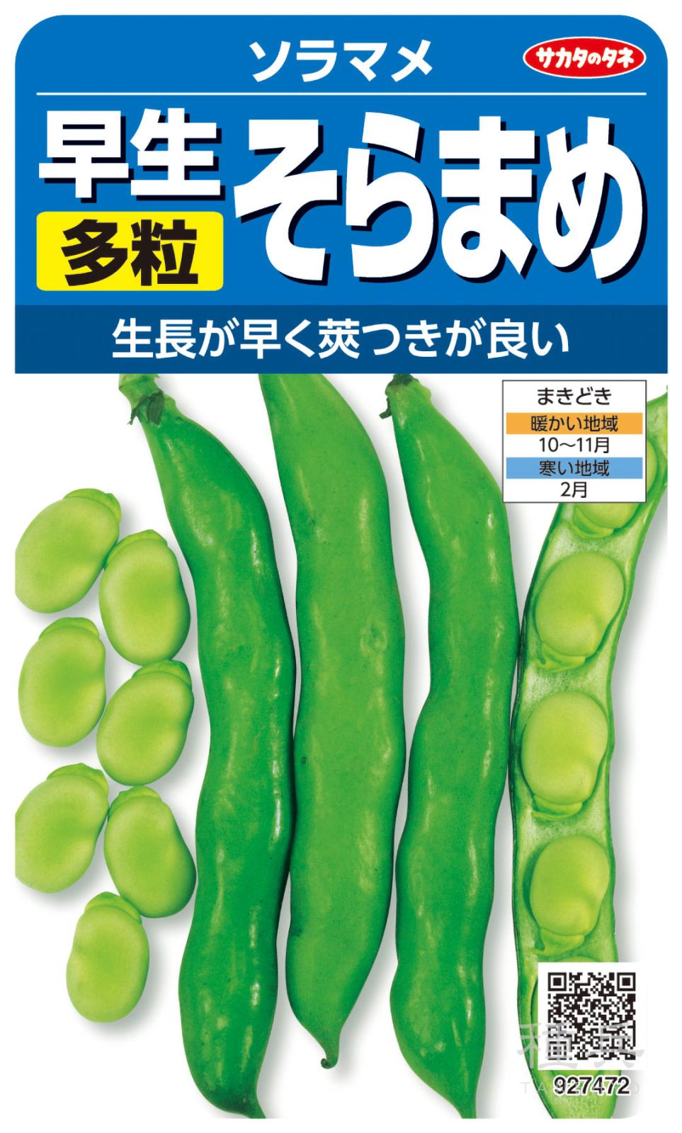 ソラマメ 種 『早生多粒そらまめ』  サカタのタネ