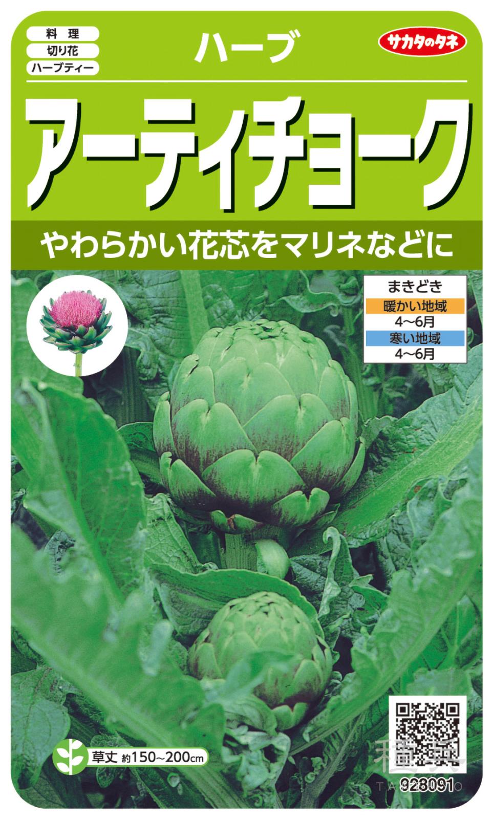 ハーブ 種 『アーティチョーク』  サカタのタネ