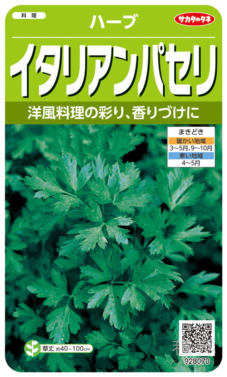 ハーブ 種 『イタリアンパセリ』  サカタのタネ