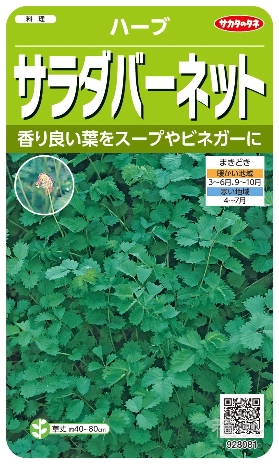 ハーブ 種 『サラダバーネット』  サカタのタネ