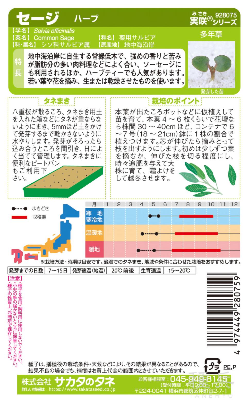 ハーブ 種 『セージ』 サカタのタネ | たね,葉菜の種,ハーブ | 種兵