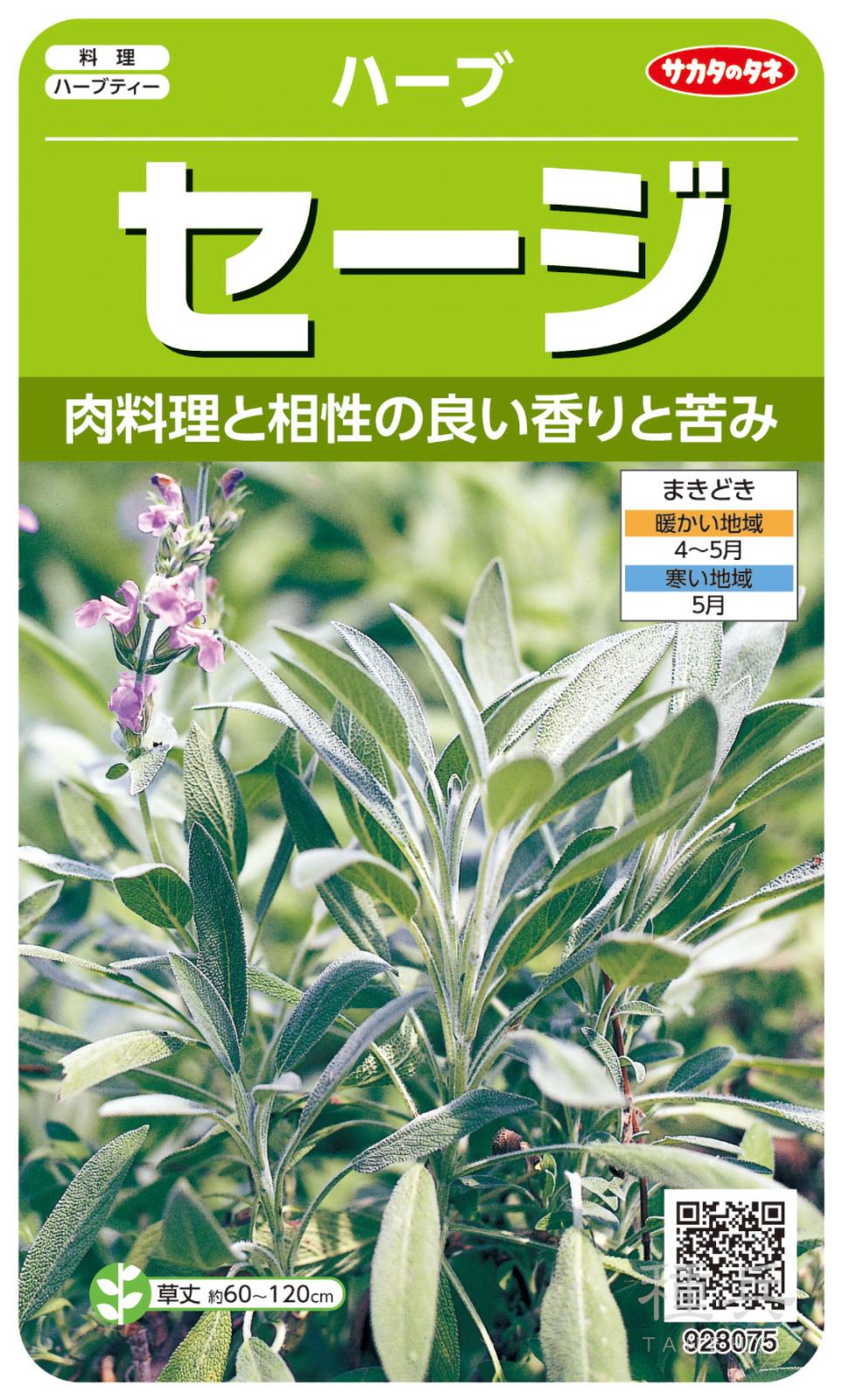 ハーブ 種 『セージ』  サカタのタネ