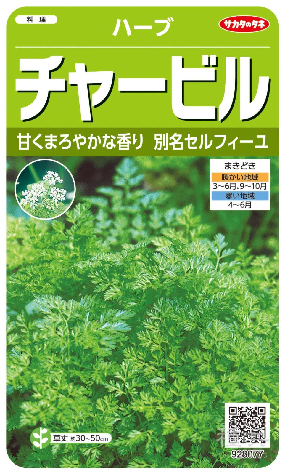 ハーブ 種 『チャービル』  サカタのタネ