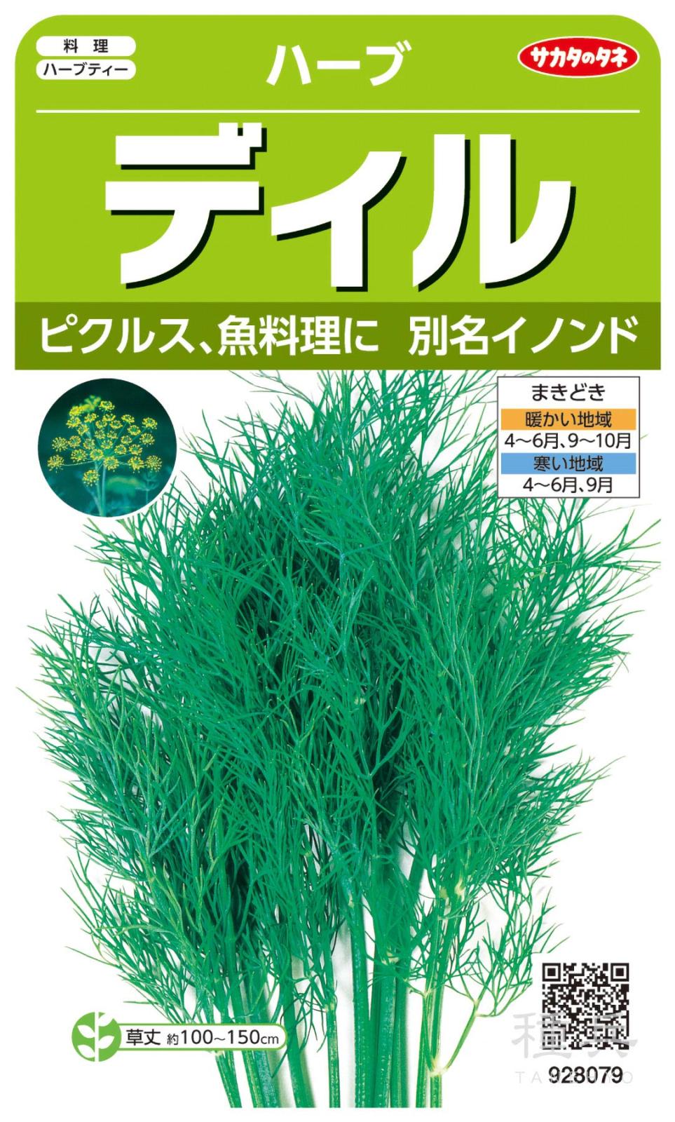 ハーブ 種 『ディル』  サカタのタネ