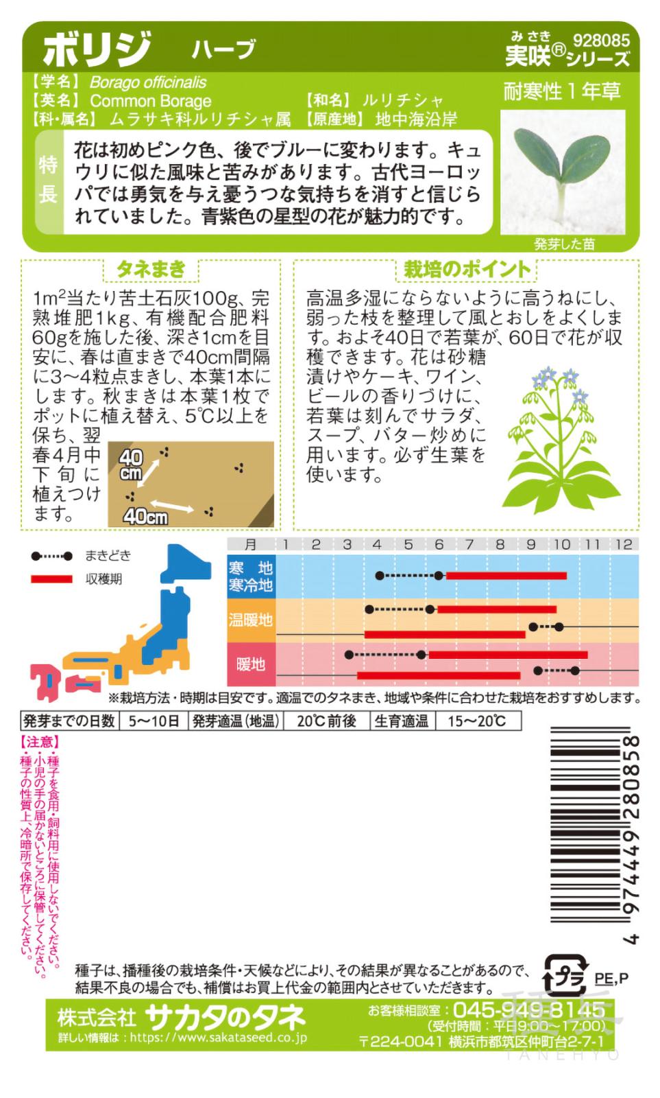 ハーブ 種 『ボリジ』 サカタのタネ | たね,葉菜の種,ハーブ | 種兵