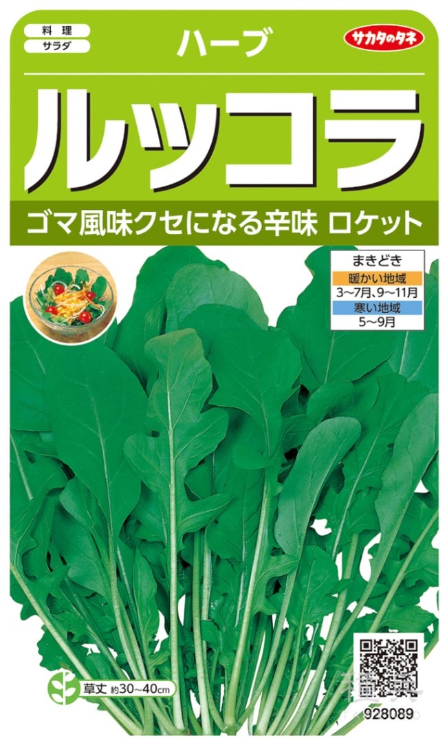 ハーブ 種 『ルッコラ』  サカタのタネ