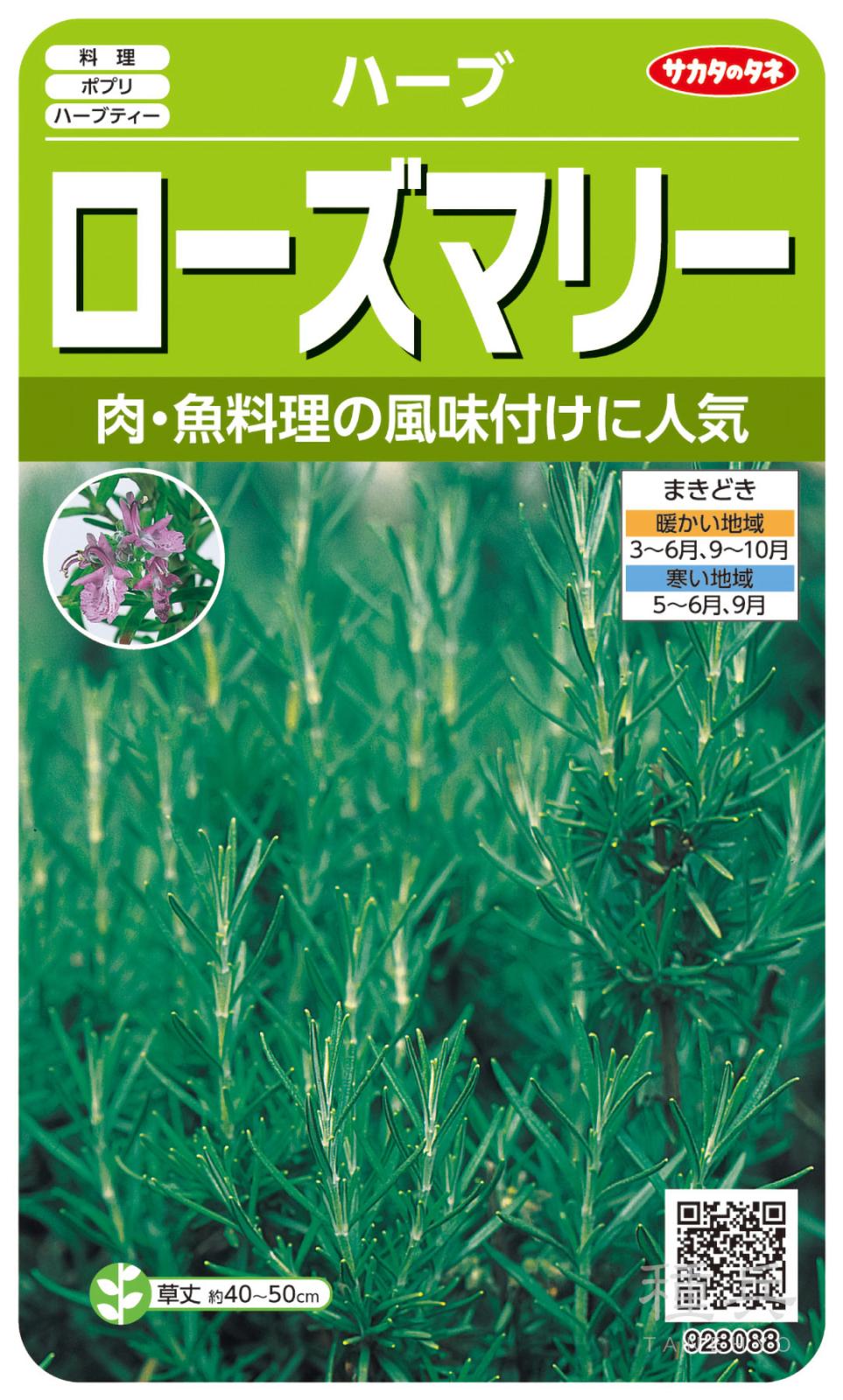 ハーブ 種 『ローズマリー』  サカタのタネ