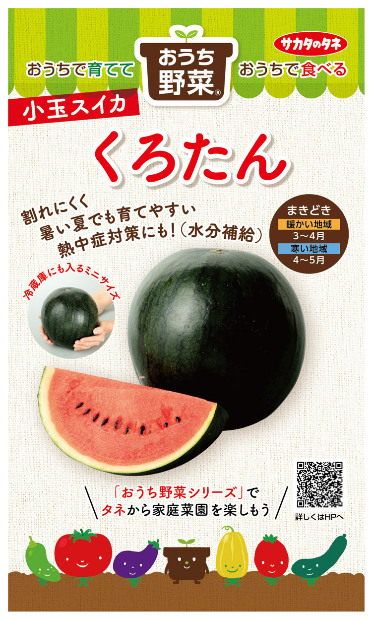 小玉スイカ 種 『くろたん』 サカタのタネ | たね,果菜の種,スイカ