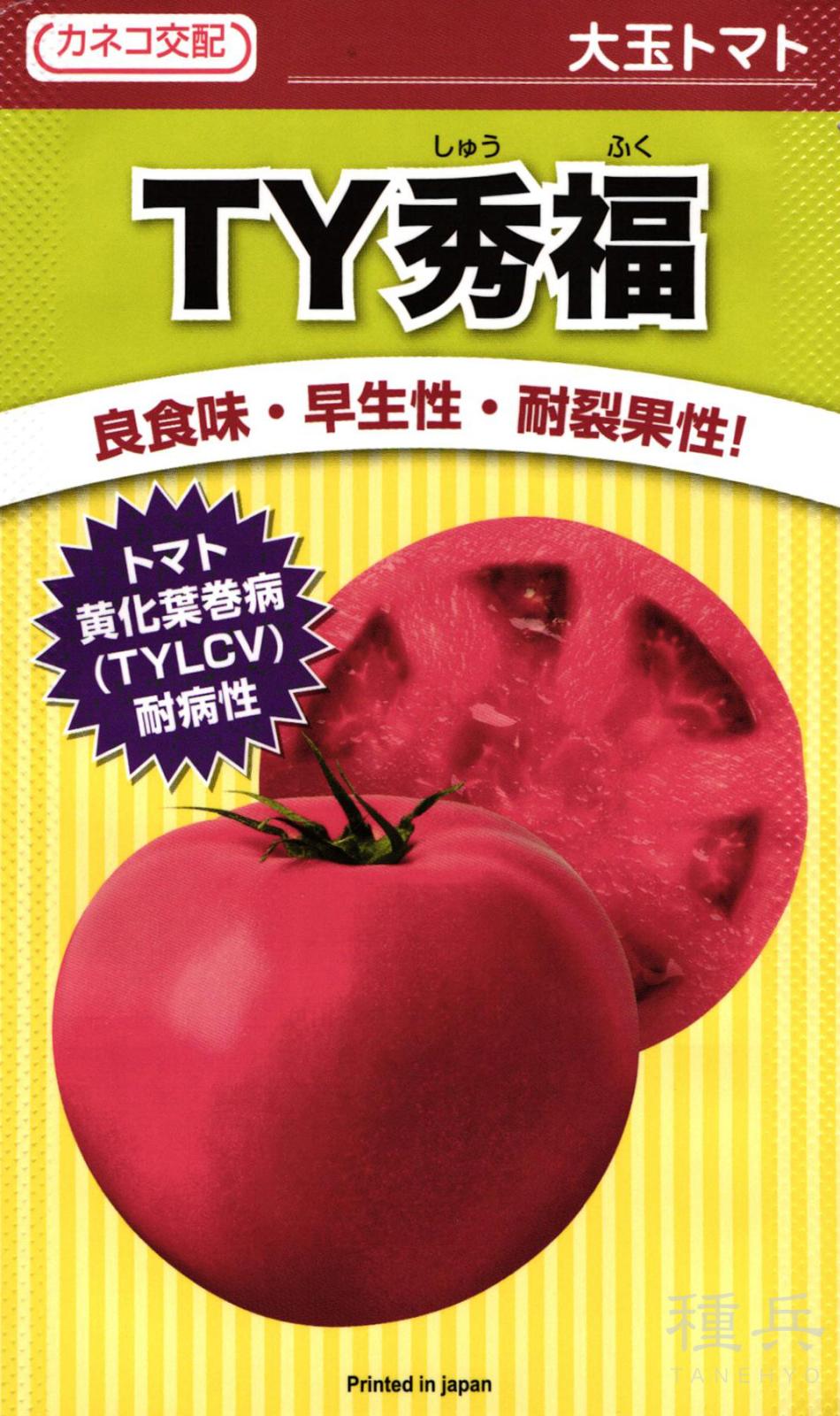大玉トマト 種 『TY秀福』  カネコ種苗
