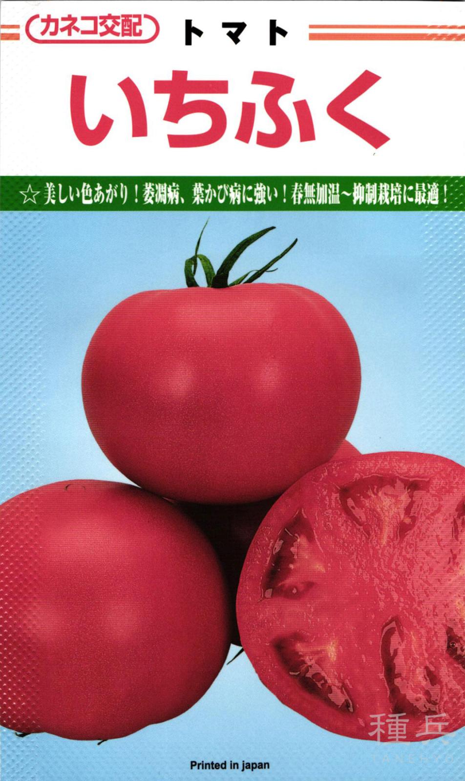 大玉トマト 種 『いちふく』  カネコ種苗