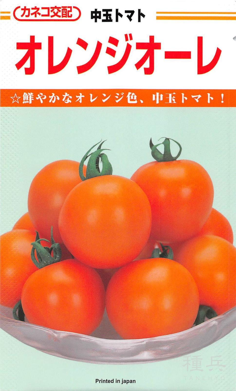 中玉トマト 種 『オレンジオーレ』 カネコ種苗 | たね,果菜の種,トマト