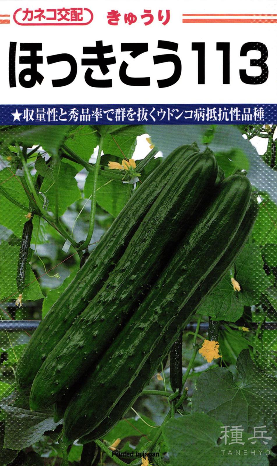 キュウリ 種 『ほっきこう113』  カネコ種苗