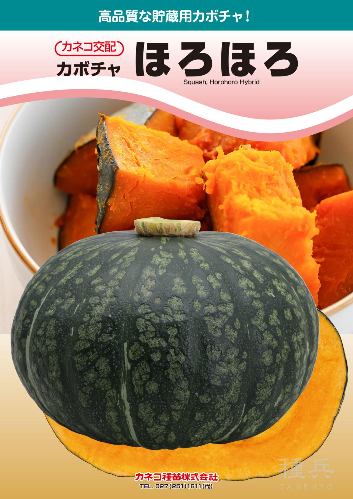 黒皮カボチャ 種 『ほろほろ』 カネコ種苗 | たね,果菜の種,カボチャ