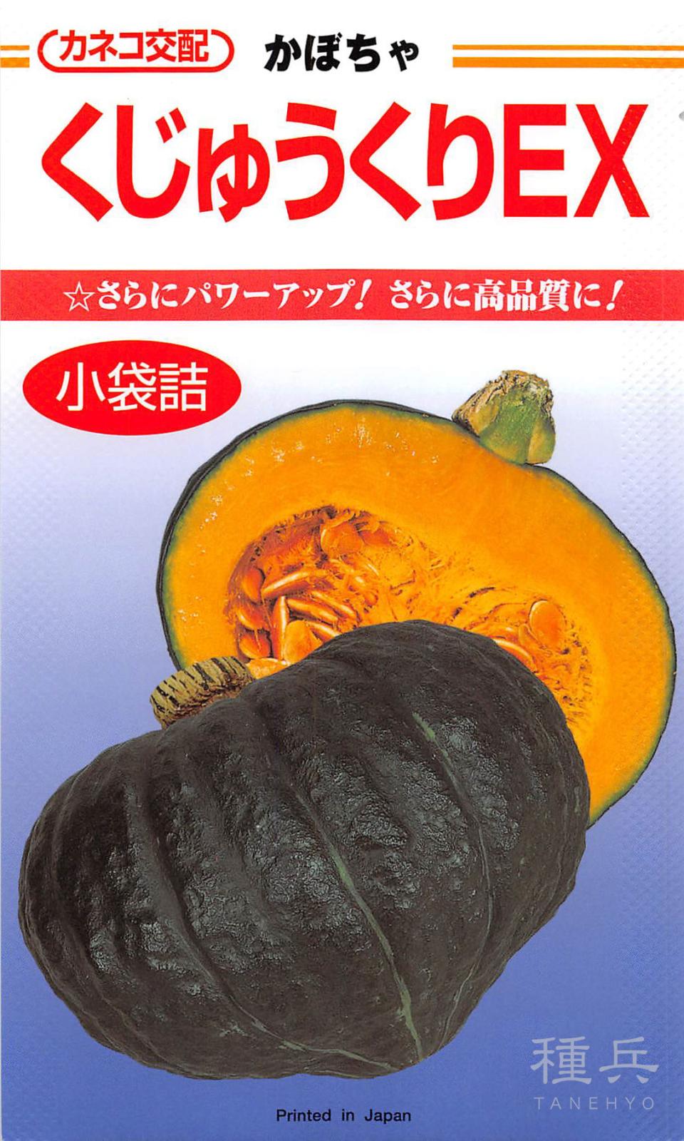黒皮カボチャ 種 『くじゅうくりEX』 カネコ種苗 | たね,果菜の種