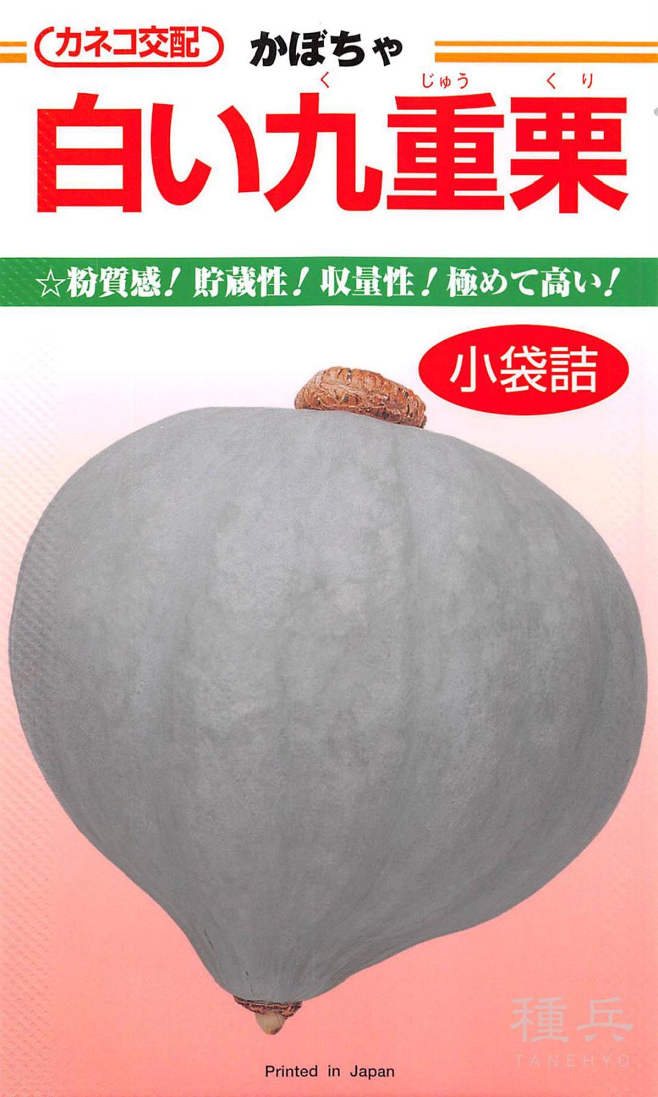くりりんかぼちゃ、白栗かぼちゃの 2種セット 4個　総重量9.7㎏ 白皮カボチャ 種 『白い九重栗』 カネコ種苗 | たね,果菜の種,カボチャ