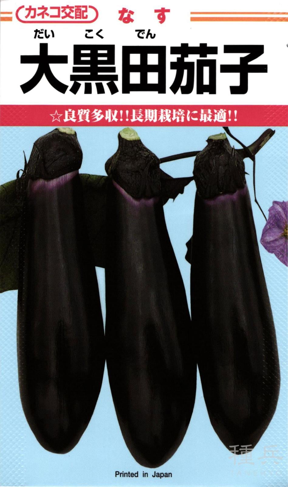 ナス 種 『大黒田（だいこくでん）』  カネコ種苗