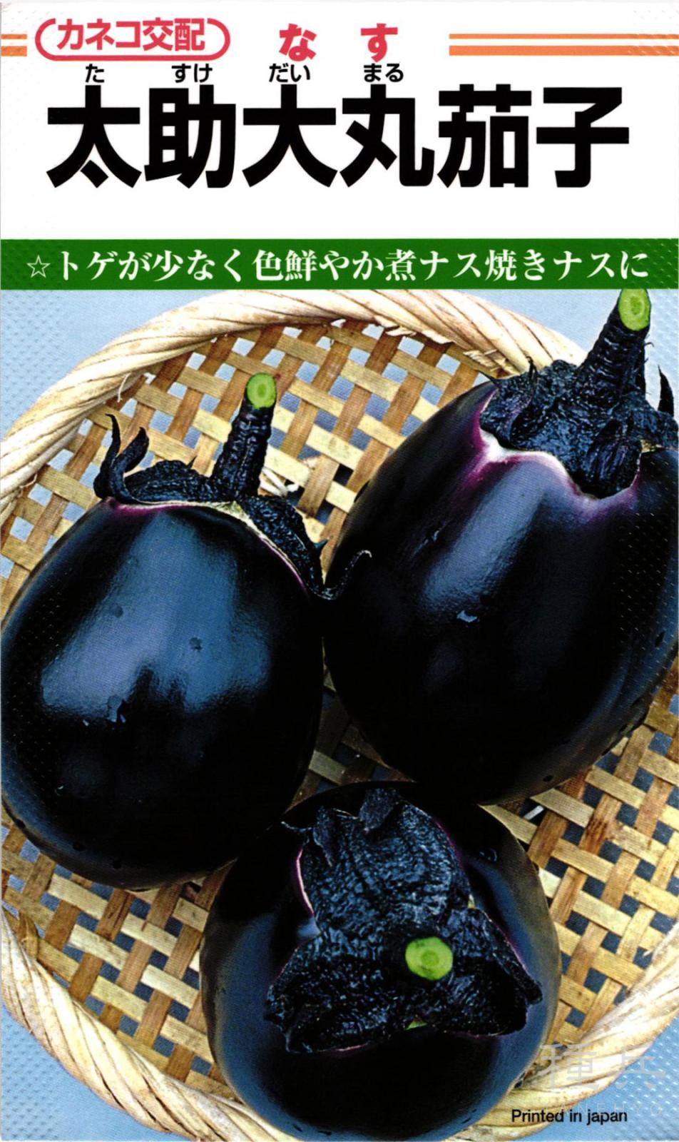 まるナス 種 『太助大丸（たすけだいまる）』  カネコ種苗