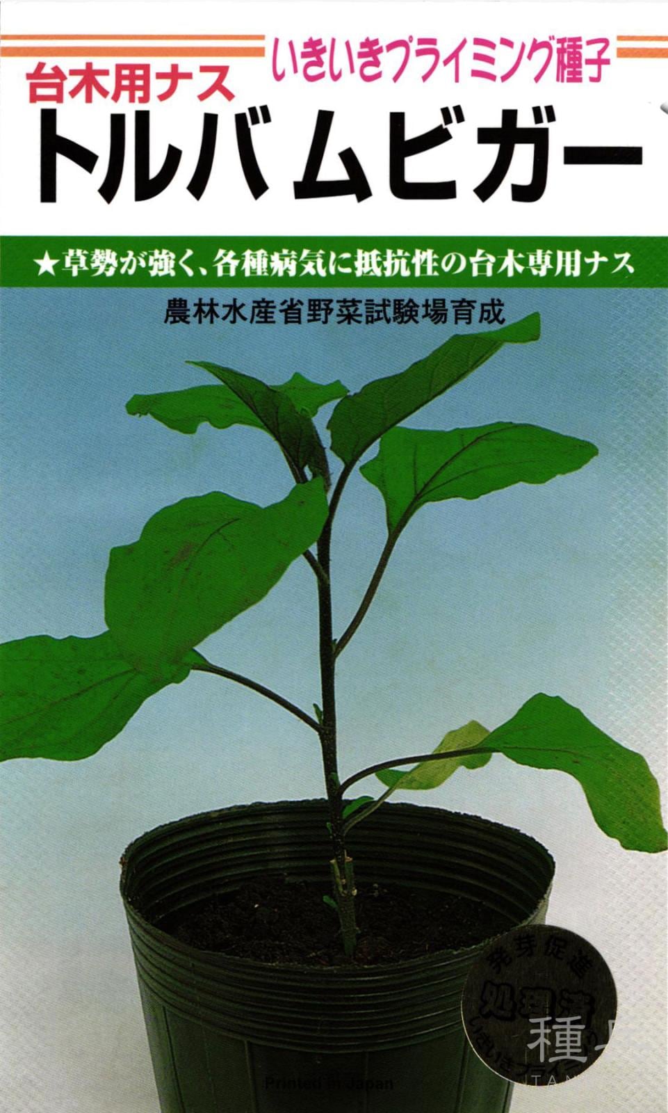 たね,果菜の種,台木用品種,ナス台木 | 種兵ネットショッピング