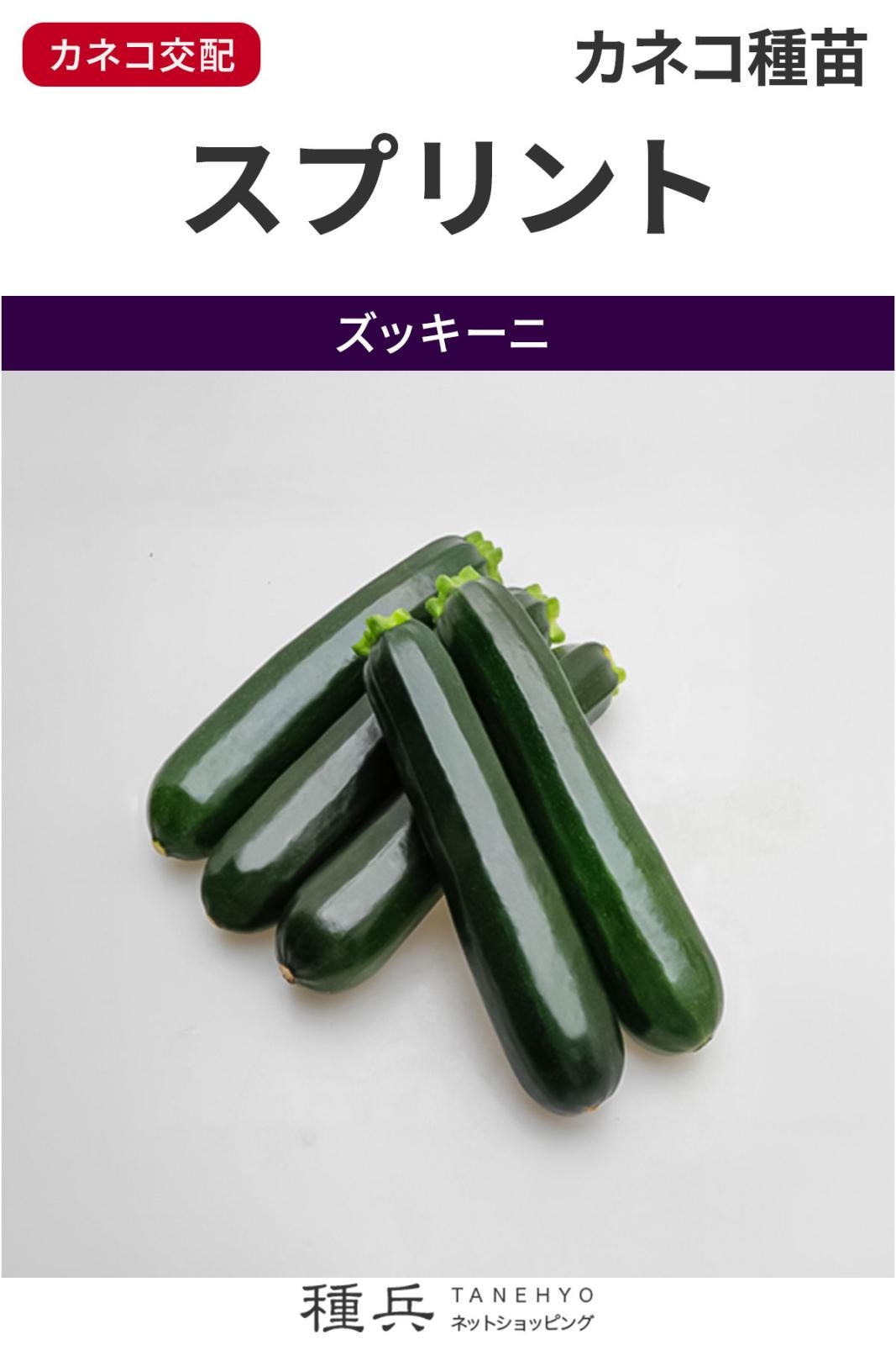 ズッキーニ 種 『スプリント』  カネコ種苗