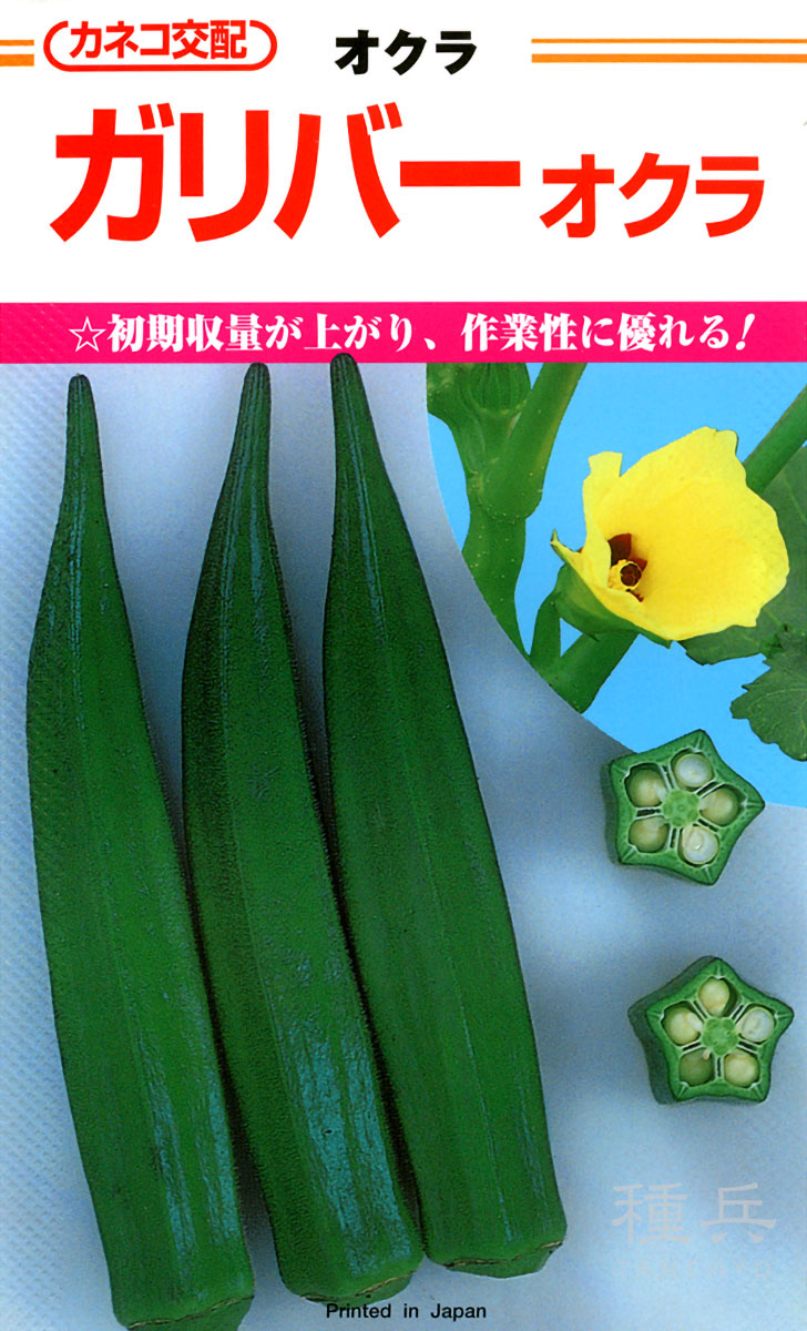オクラ 種 『ガリバー』  カネコ種苗