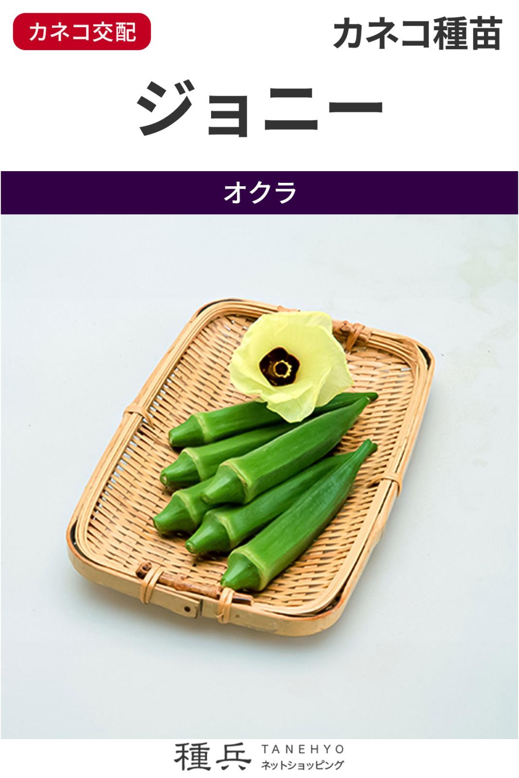 オクラ 種 『ジョニー』  カネコ種苗