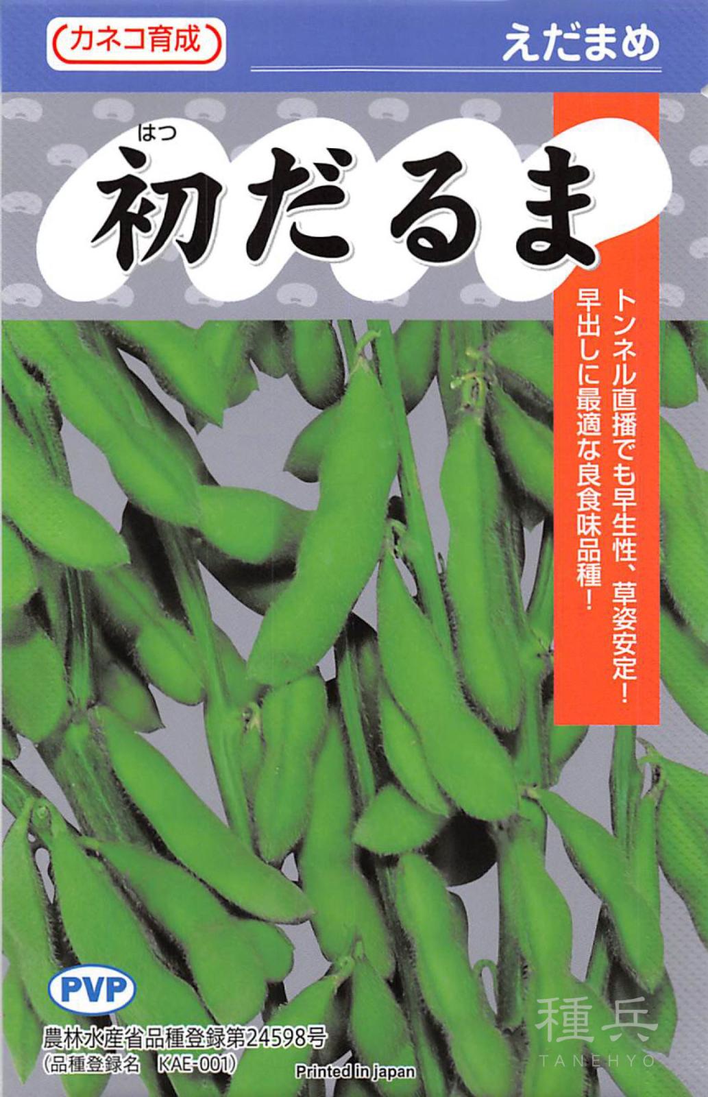 エダマメ 種 『初だるま』  カネコ種苗