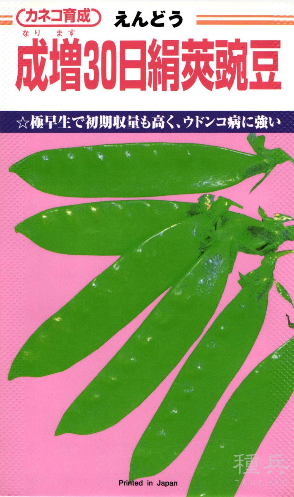 白花エンドウ 種 『成増30日絹莢』  カネコ種苗