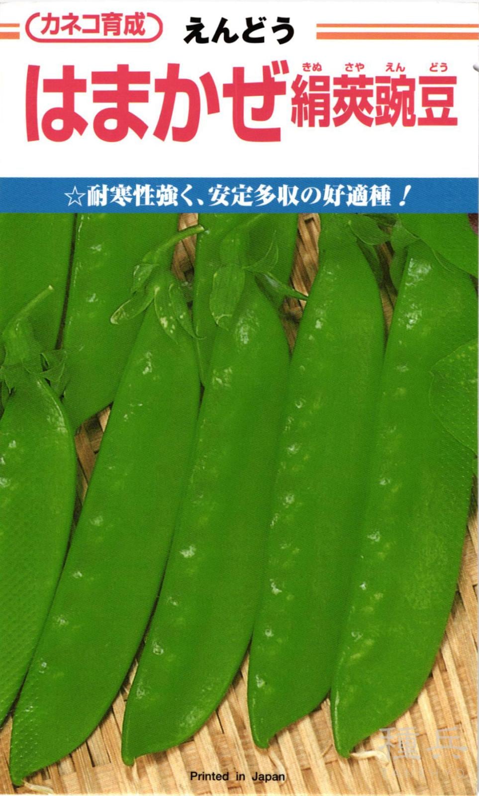 赤花エンドウ 種 『はまかぜ絹莢』  カネコ種苗