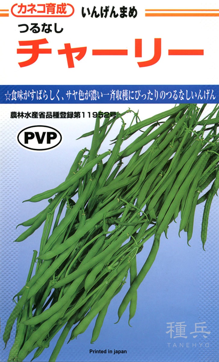 つるなしインゲン 種 『チャーリー』  カネコ種苗