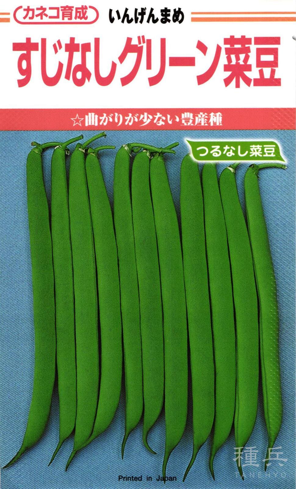 つるなしインゲン 種 『すじなしグリーン』  カネコ種苗