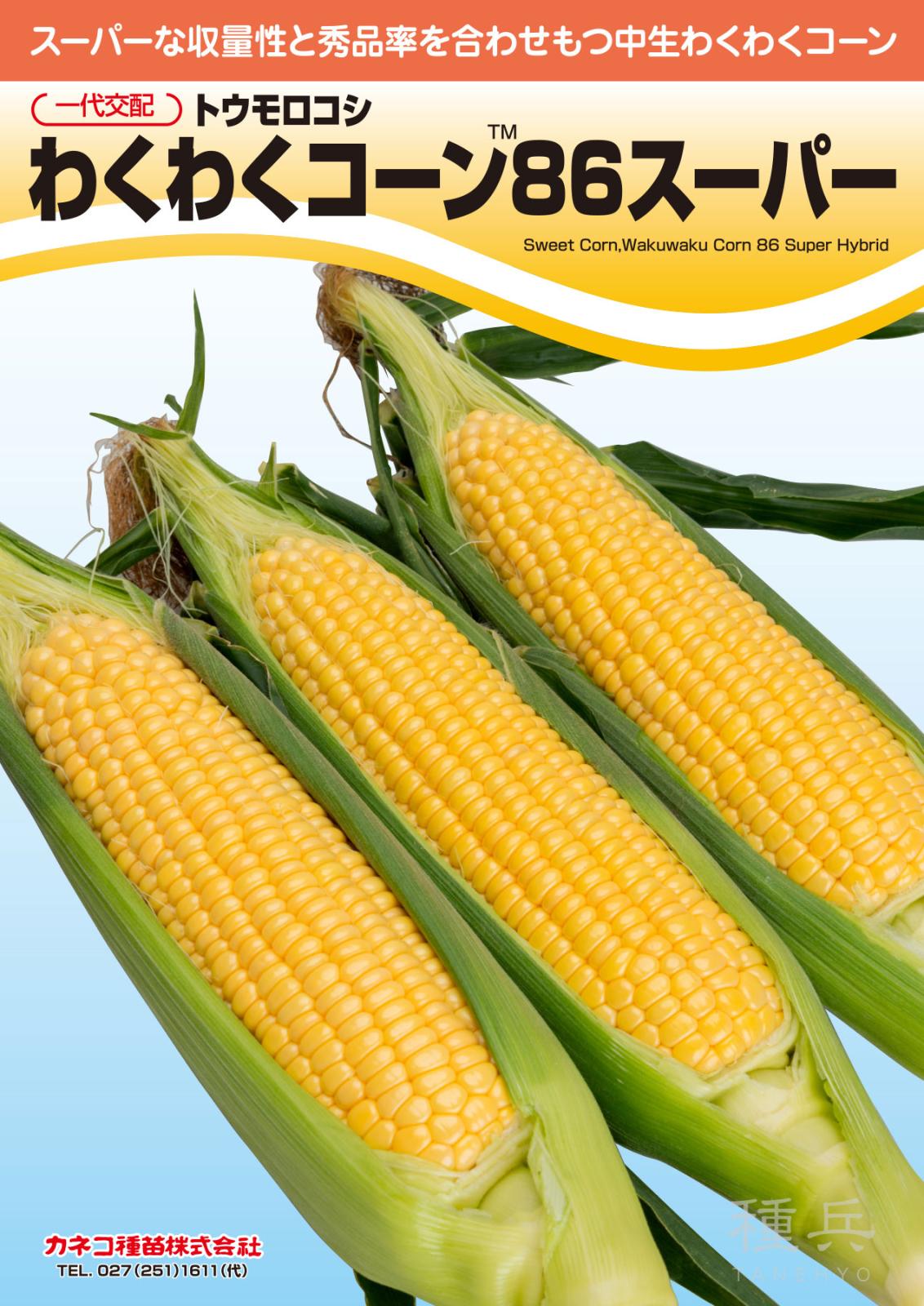 スイートコーン 種 『わくわくコーン86スーパー』  カネコ種苗