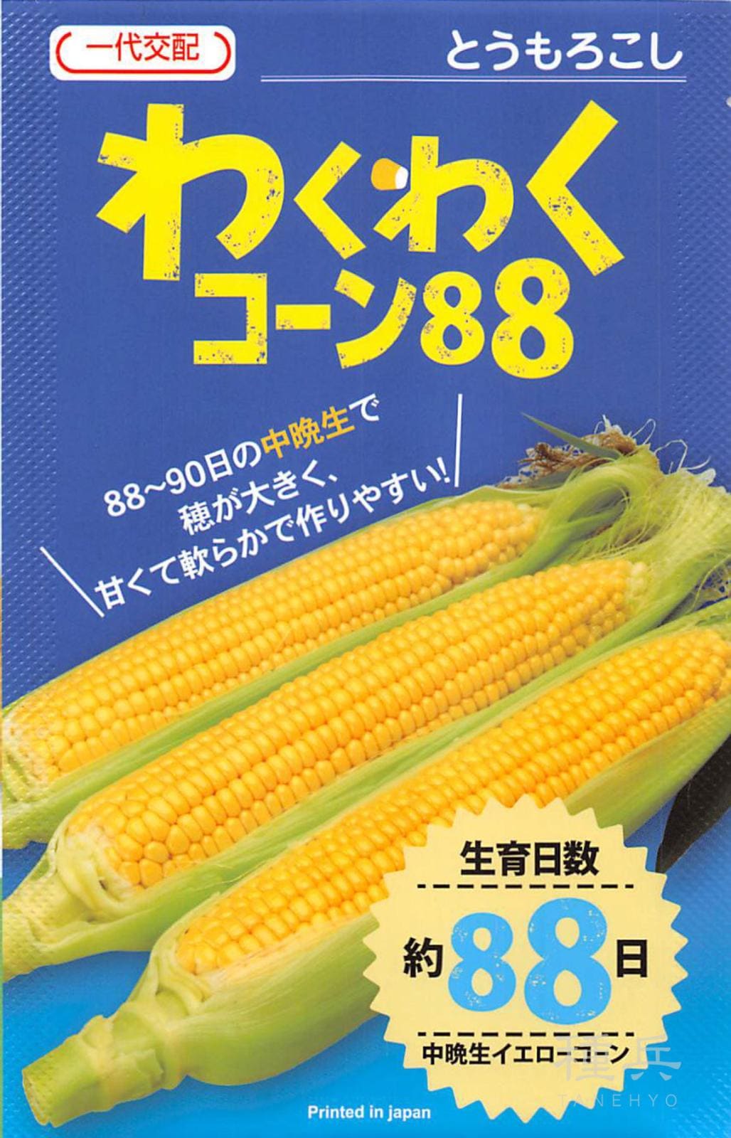 スイートコーン 種 『わくわくコーン88』  カネコ種苗
