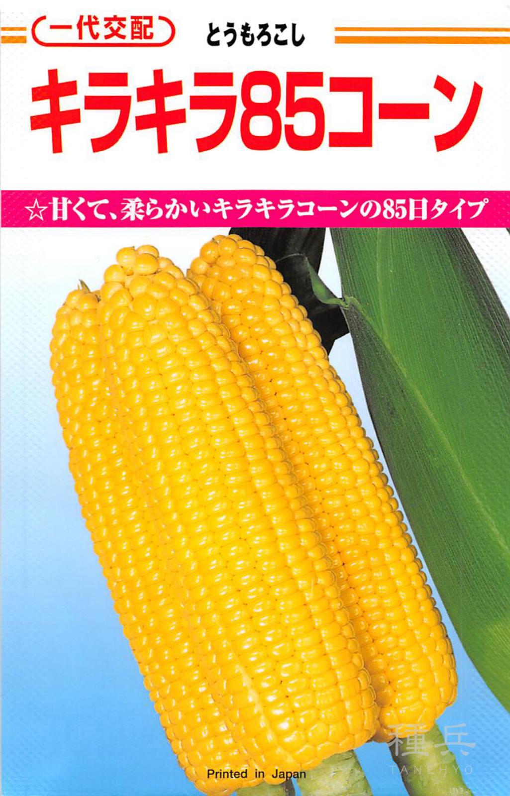 スイートコーン 種 『キラキラ85コーン』  カネコ種苗