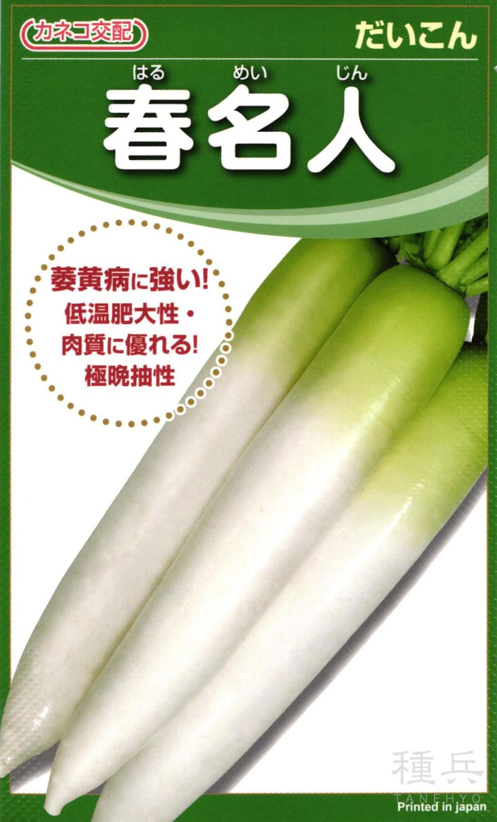春まきダイコン 種 『春名人』  カネコ種苗