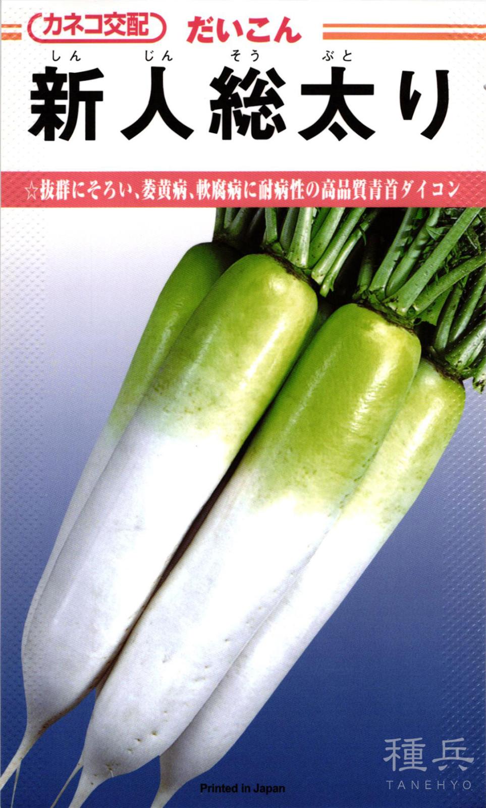 夏まきダイコン 種 『新人総太り』 カネコ種苗 | たね,根菜の種