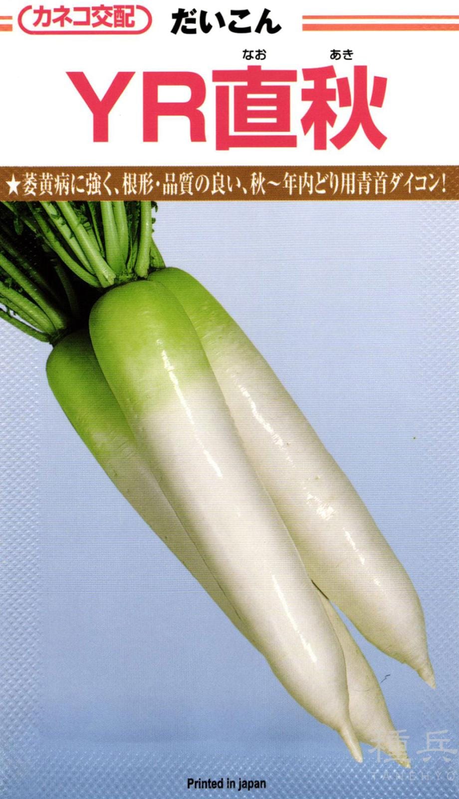 秋まきダイコン 種 『YR直秋』  カネコ種苗