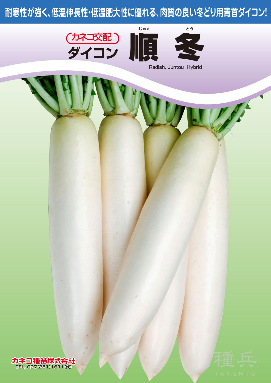秋まきダイコン 種 『順冬』 カネコ種苗 | たね,根菜の種,ダイコン