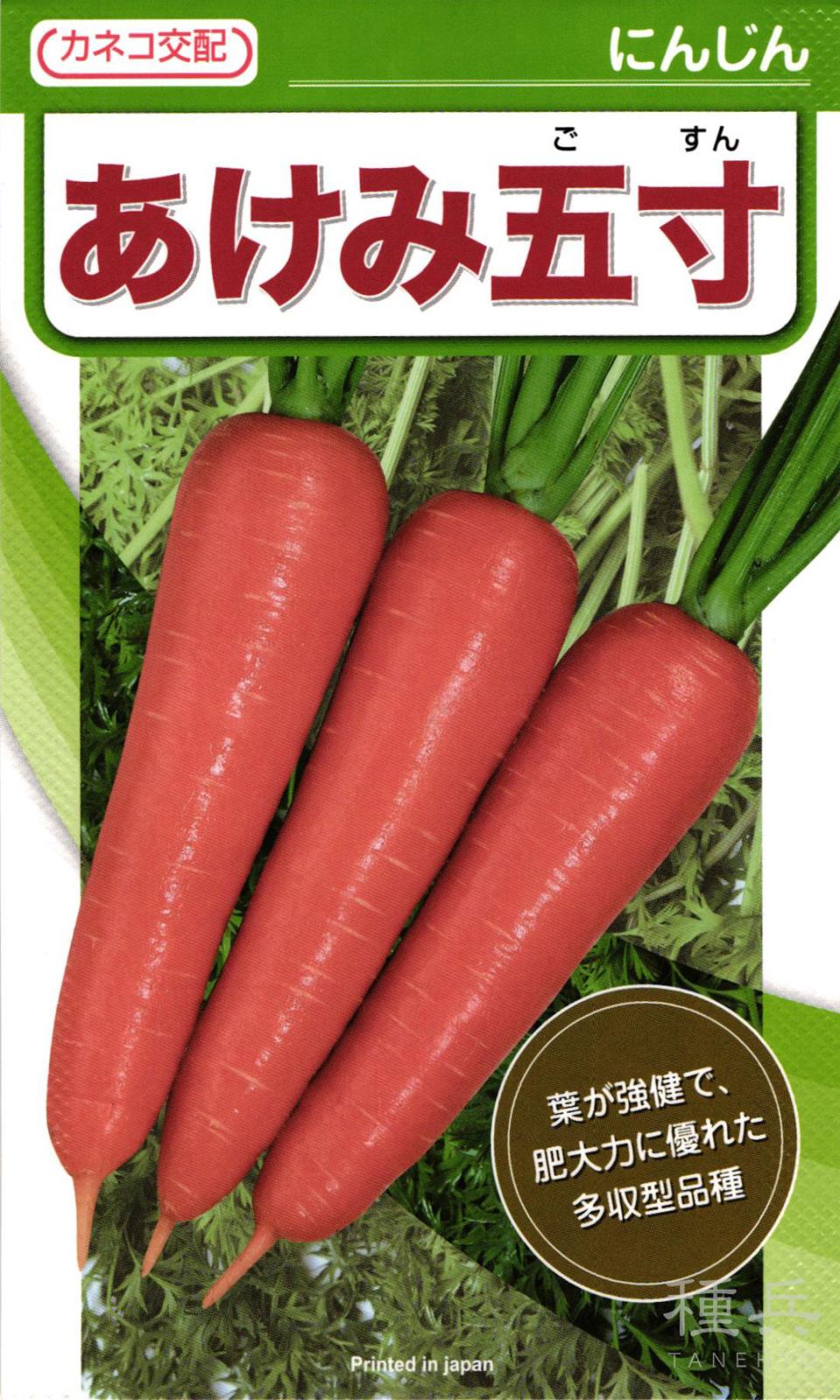 ニンジン 種 『あけみ五寸』  カネコ種苗