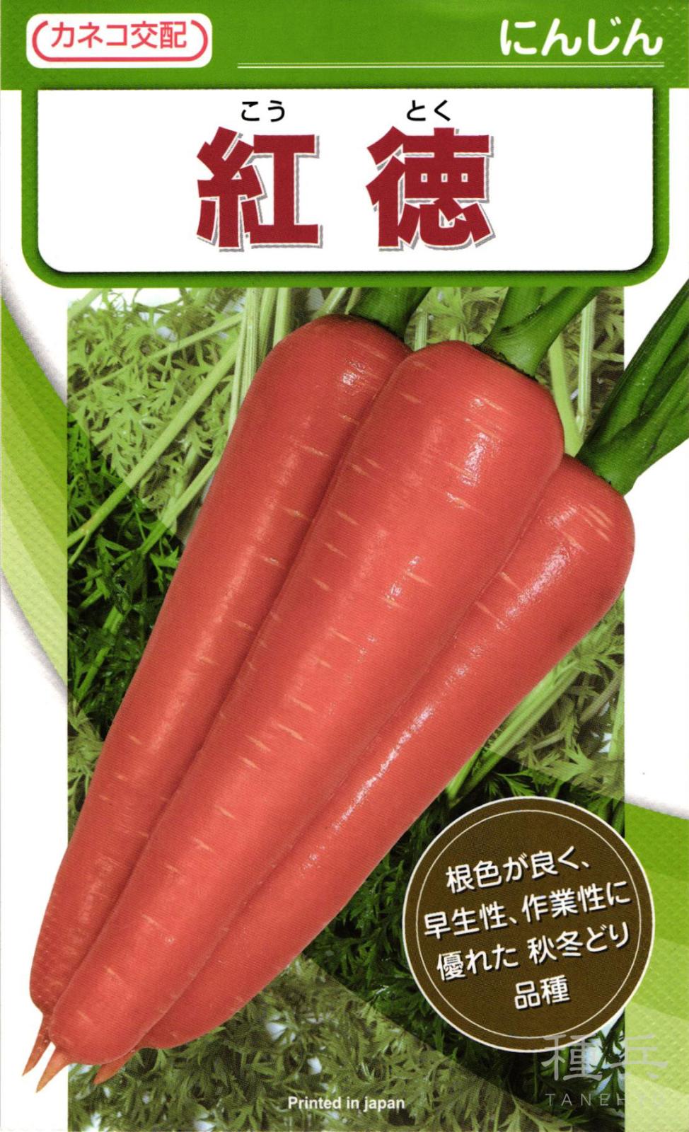 ニンジン 種 『紅徳』  カネコ種苗