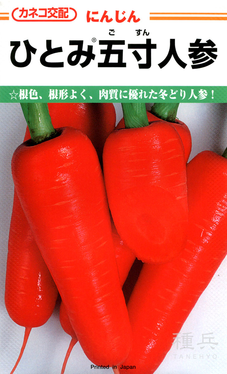 ニンジン 種 『ひとみ五寸』  カネコ種苗