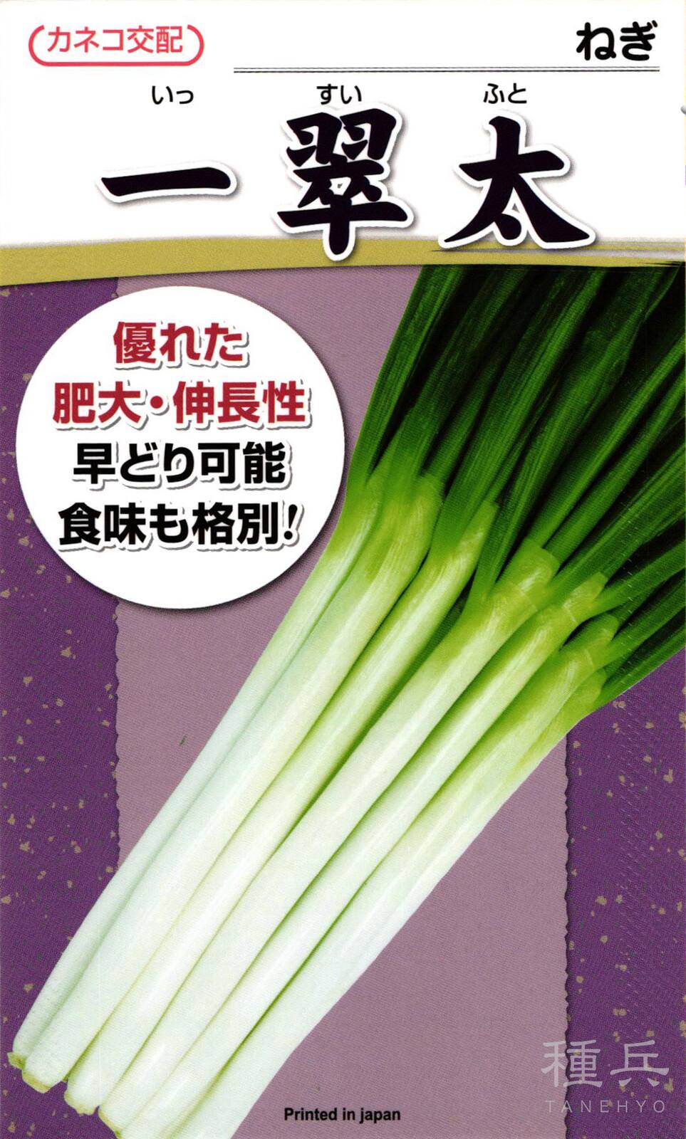 根深ネギ 種 『一翠太』  カネコ種苗